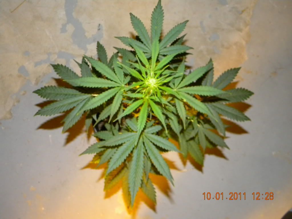 DSCN2815.jpg