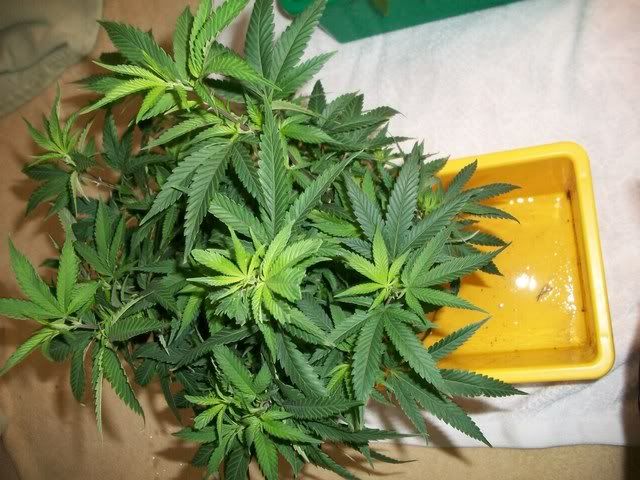 4-22-11023.jpg