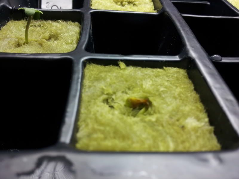 20120517_175902-2.jpg