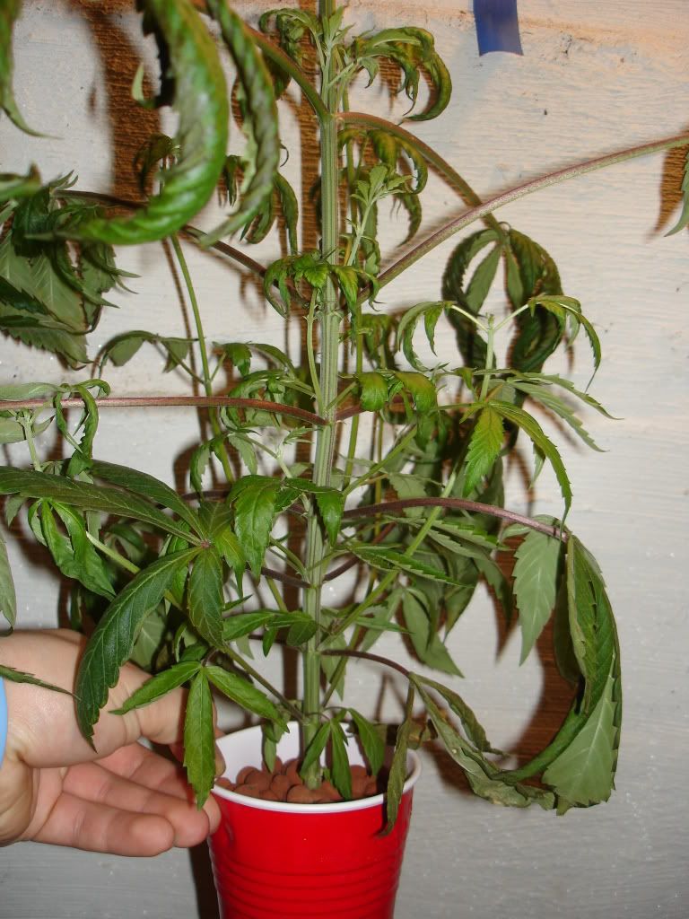 DSC03710.jpg