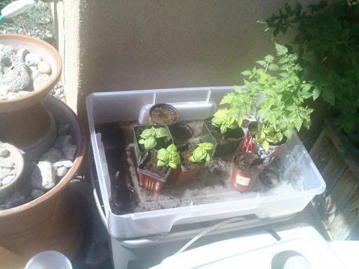 downsized_0715091106a.jpg