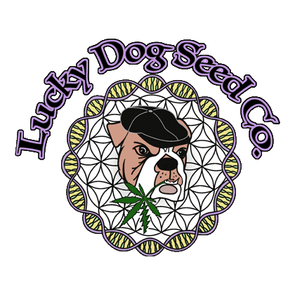 seedsherenow.com