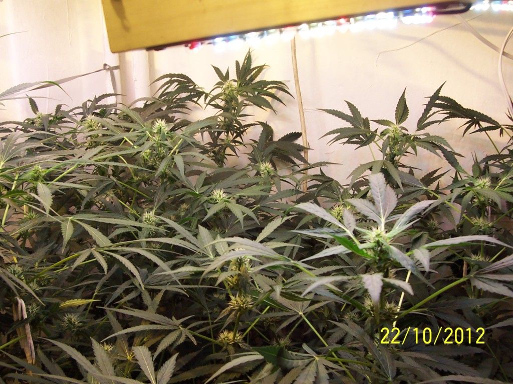 100_2797.jpg