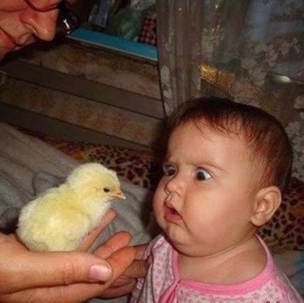 acid_picdump_43.jpg