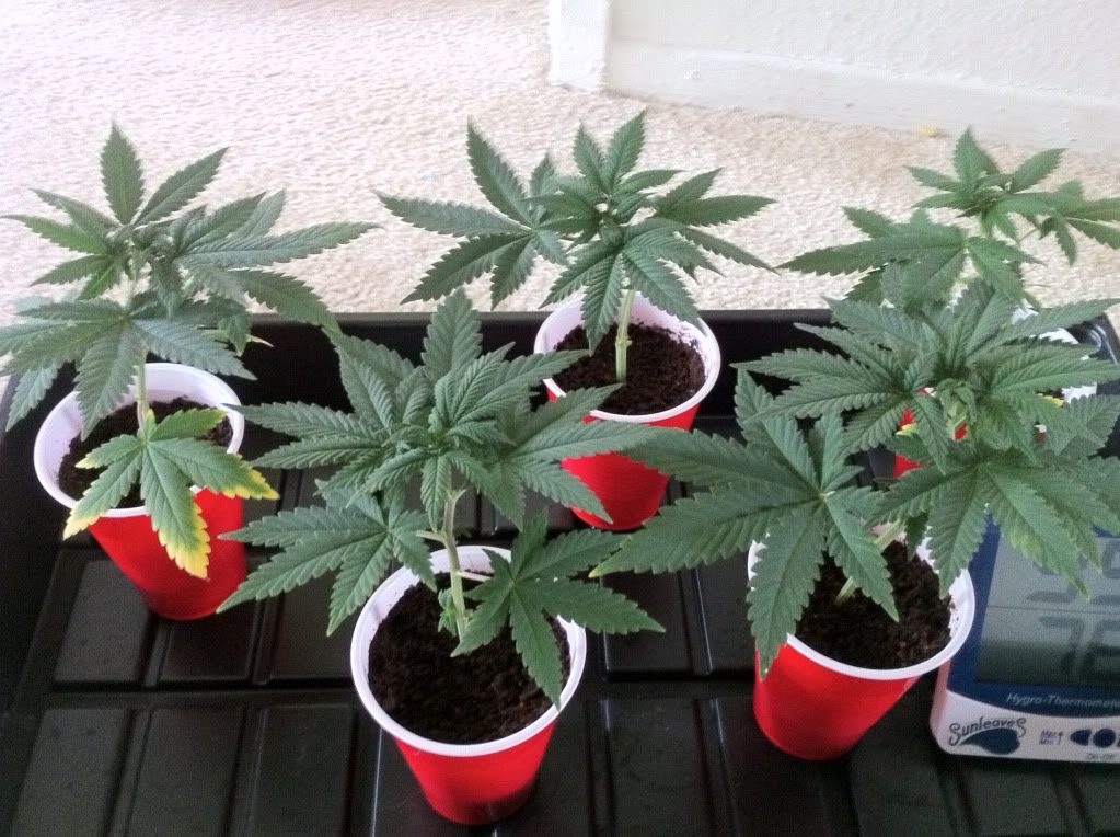 8-9-11clone.jpg