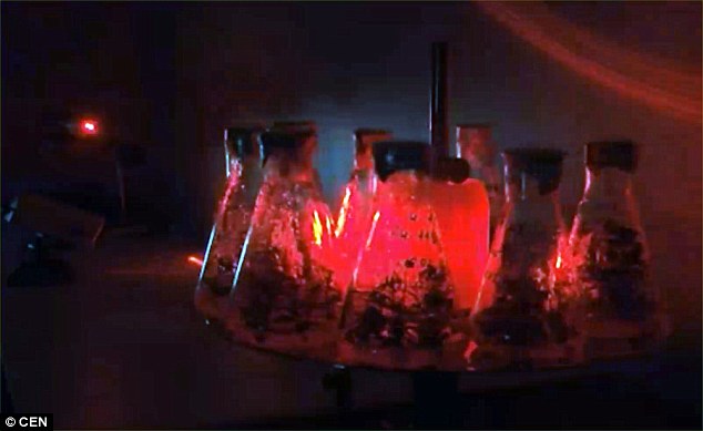 32D6B13100000578-3523099-image-a-104_1459786291324.jpg