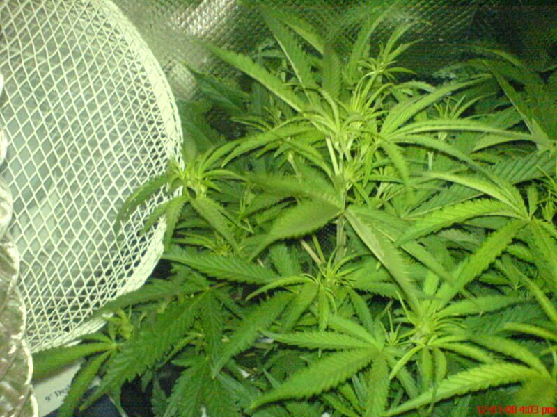 DSC00122-1.jpg