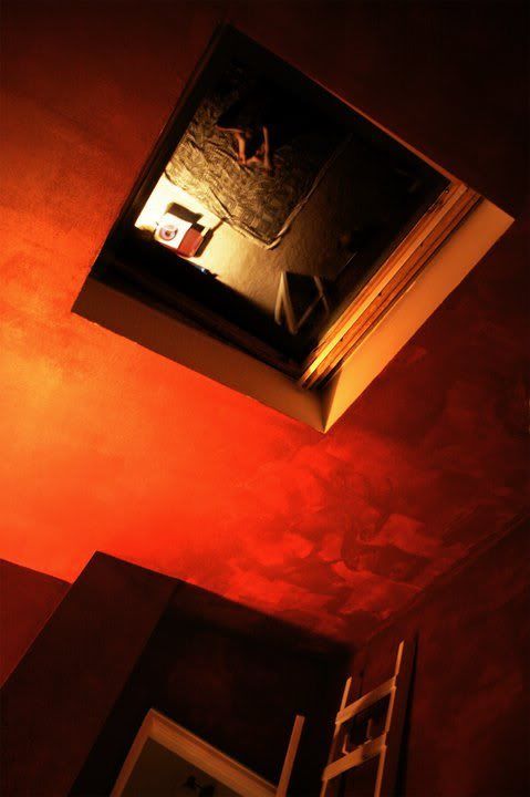 skylight.jpg