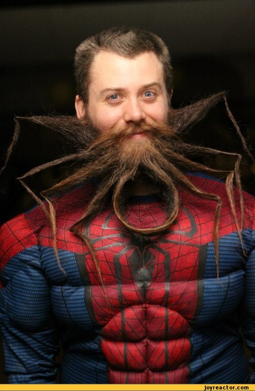 beard-spider-Spider-Man-608552.jpeg