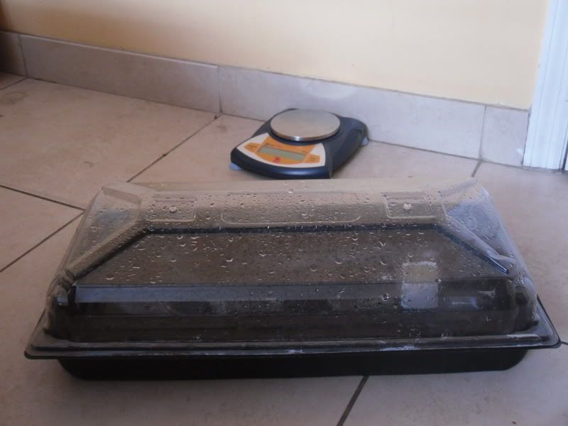 SDC10579.jpg