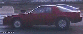 gifs_03.gif