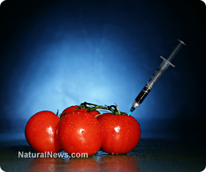Tomatoes-Gmo-Syringe.jpg