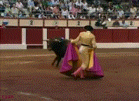 82950270.gif