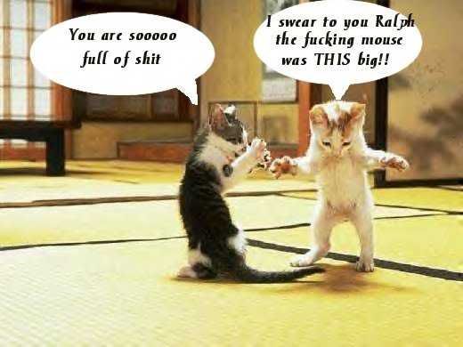 KittyTale.jpg