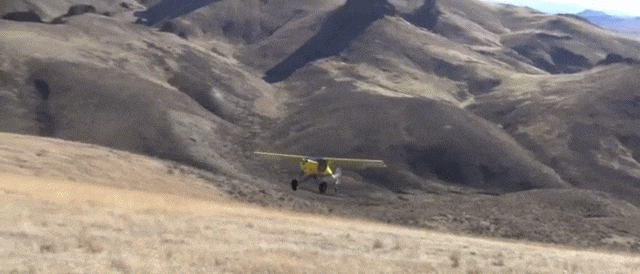 gifs_04.gif