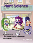 www.sciencedirect.com