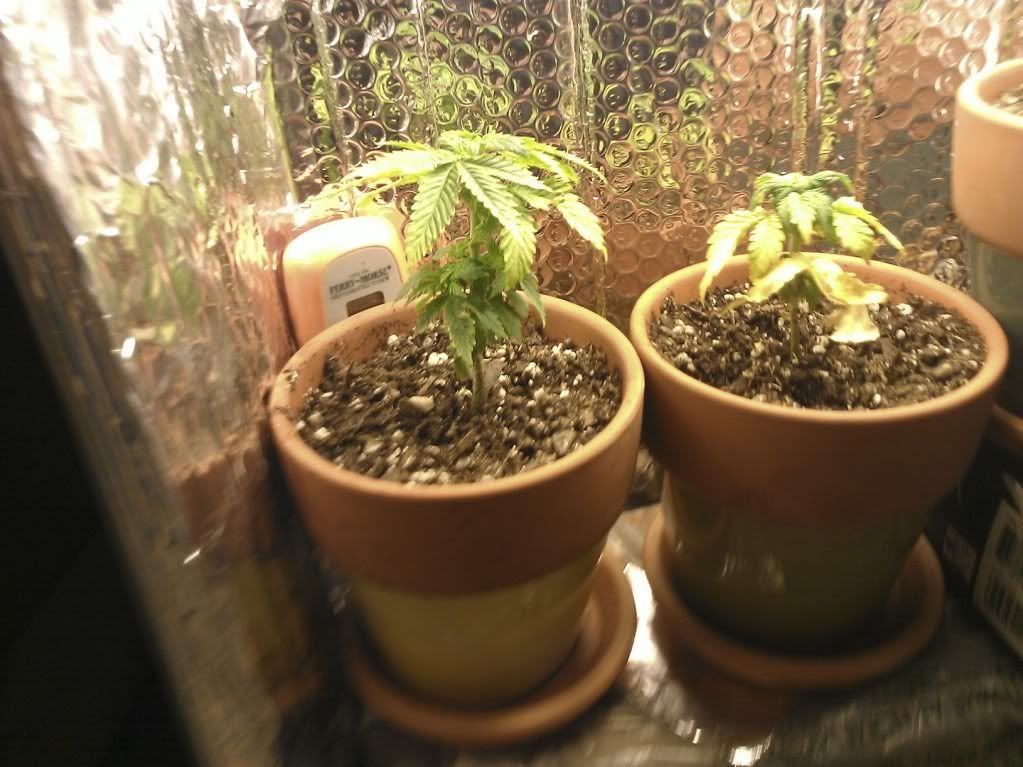 WP_000239.jpg