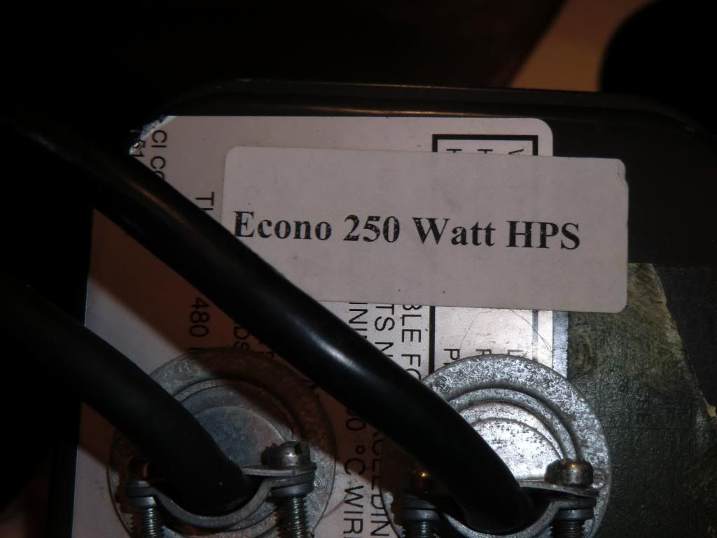 CIMG1065_zpsc3e340ab.jpg