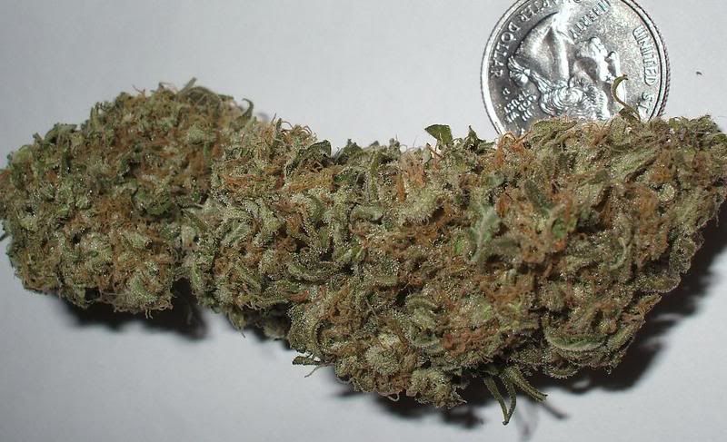 myblunug2.jpg