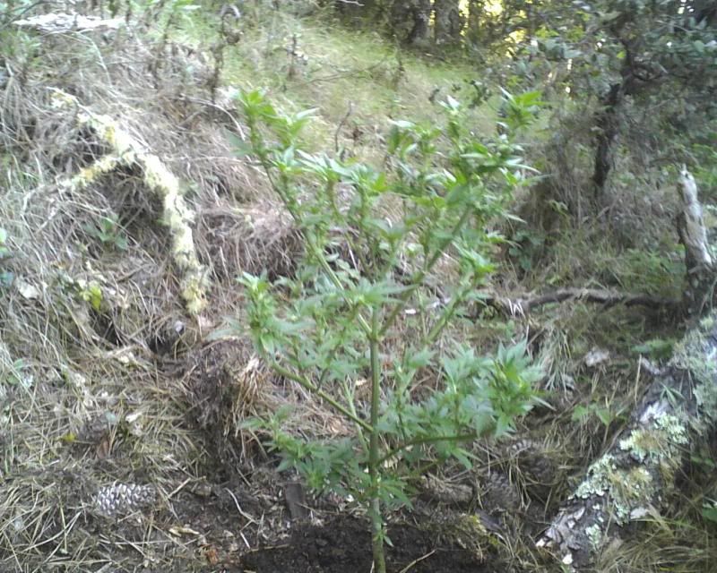 120507_0002.jpg
