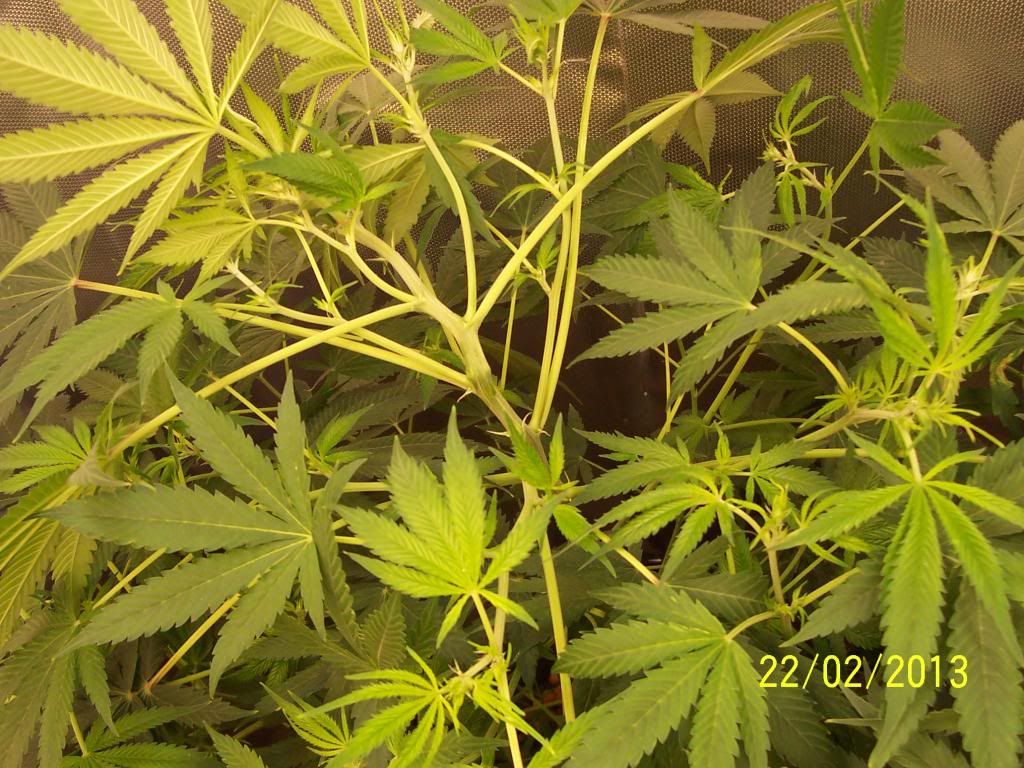100_3404_zpsc8c1c799.jpg