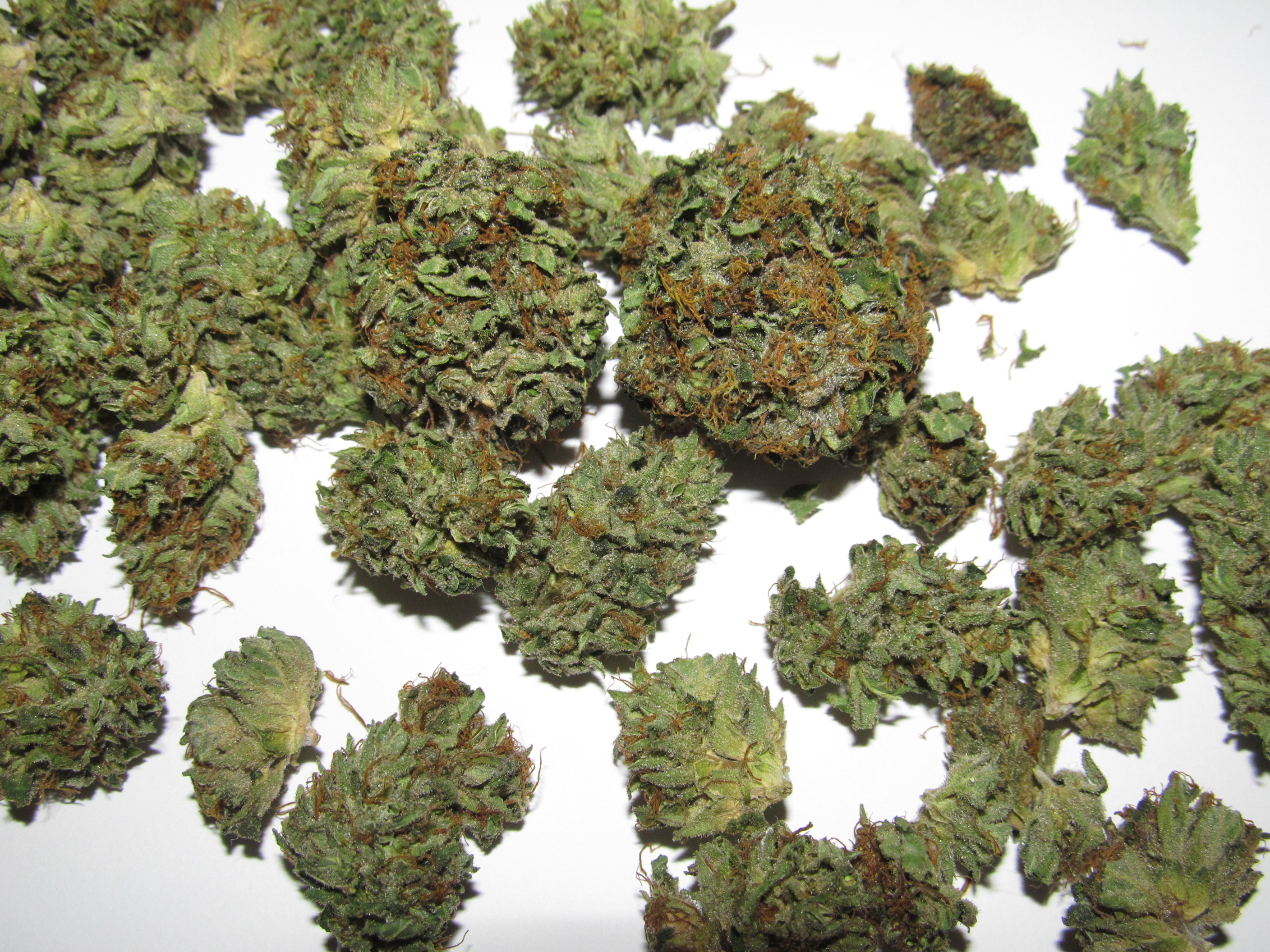 qJO9ABc.jpg