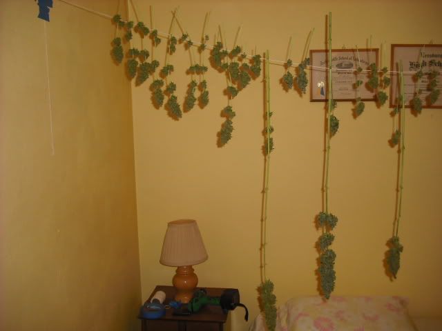 DSCF0302.jpg