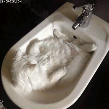 gifs_09.gif