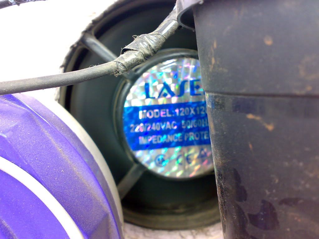 27122008286.jpg