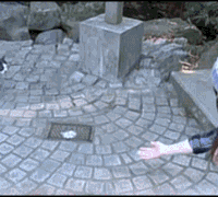 tumblr_m0jdbmjBUO1rqfhi2o1_250.gif