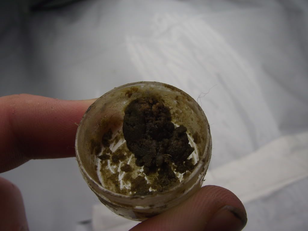 DSCF2103.jpg