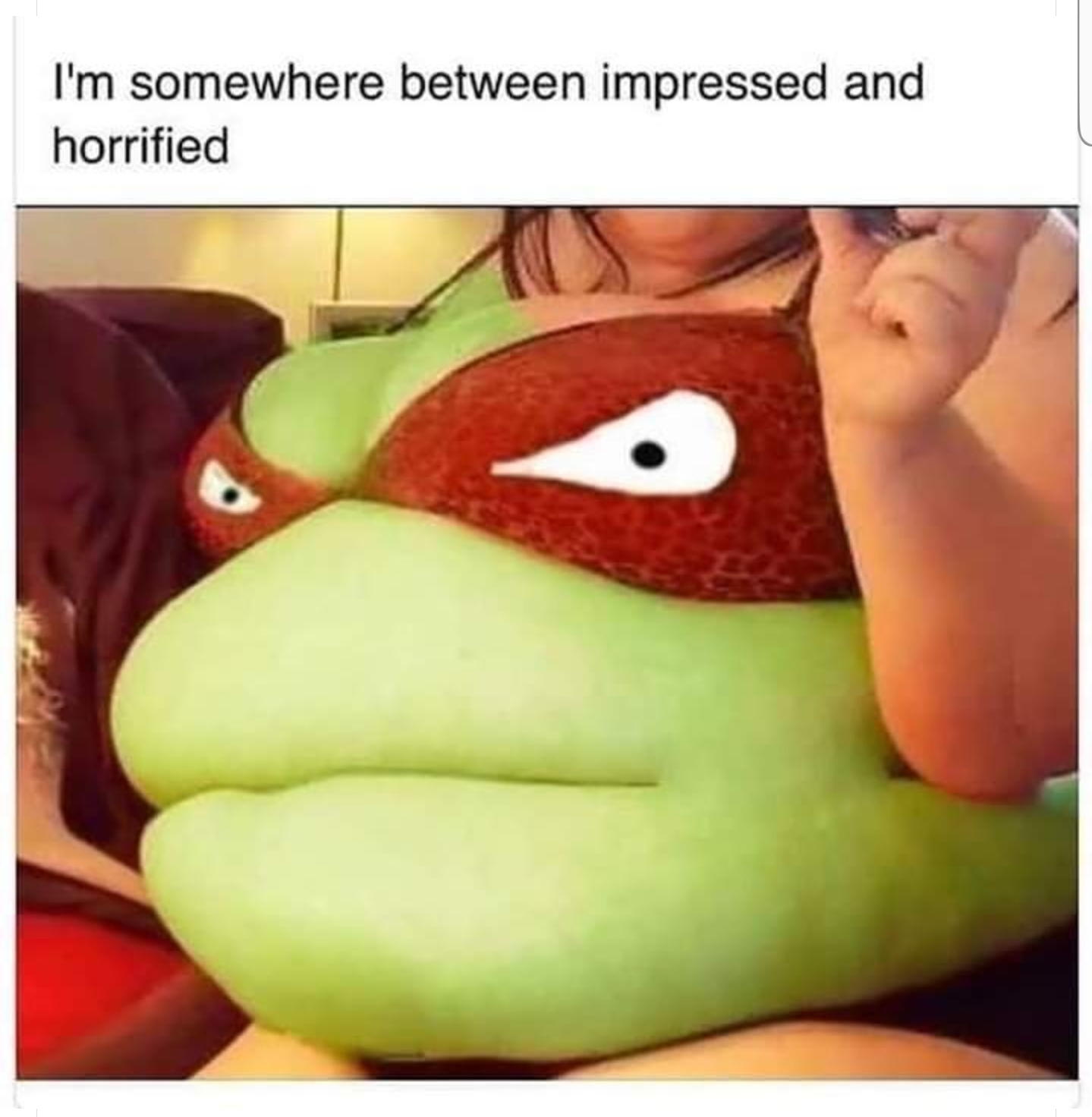 KXlwzoy.jpg