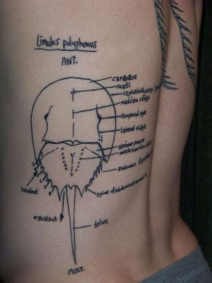 tattoo_53.jpg