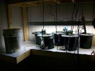 100_1029.jpg