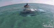 off-road-adventure-goes-underwater-truck.gif