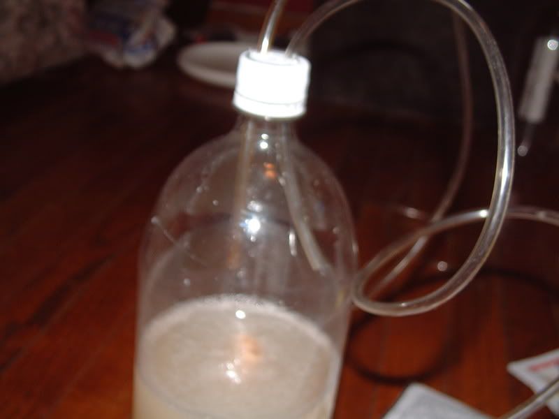 DSCF0017.jpg