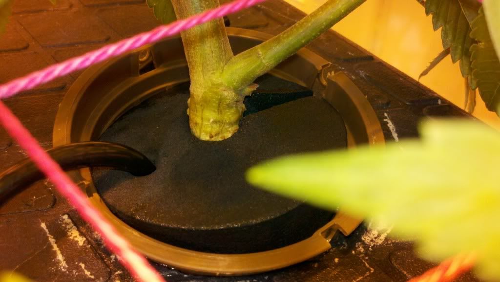 2010-12-04_02-03-36_706.jpg