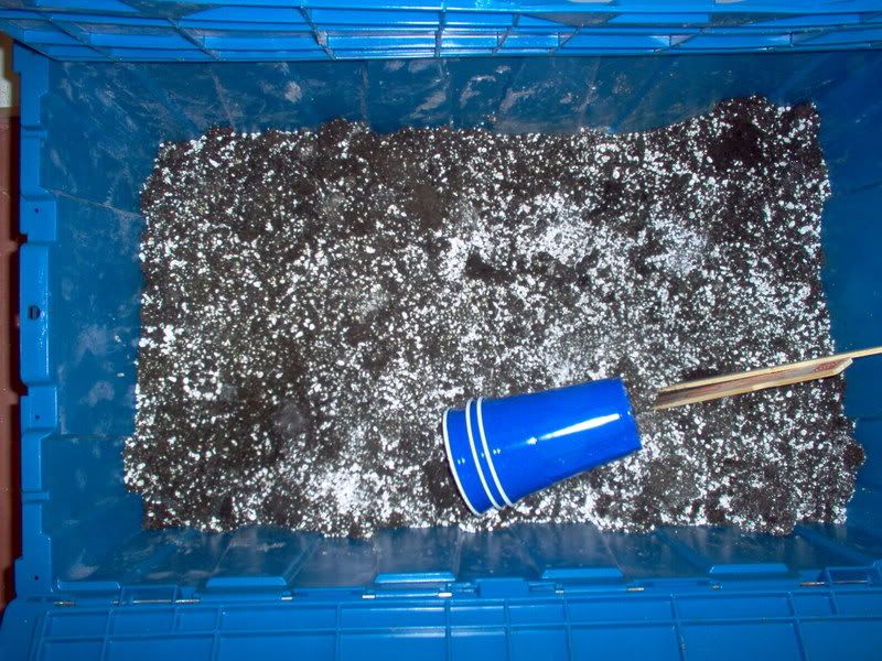 018SoilandPerlite.jpg