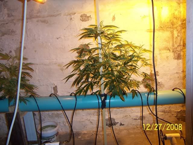 100_0743.jpg