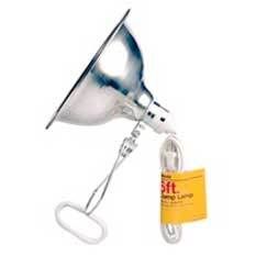 lamp.jpg