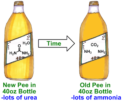 Urea+to+Ammonia.png