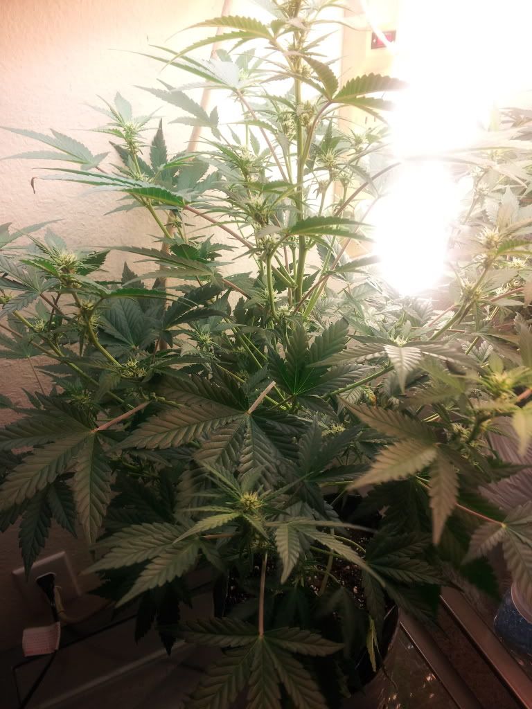 20130101_094204.jpg