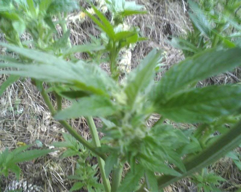 120507_0007.jpg