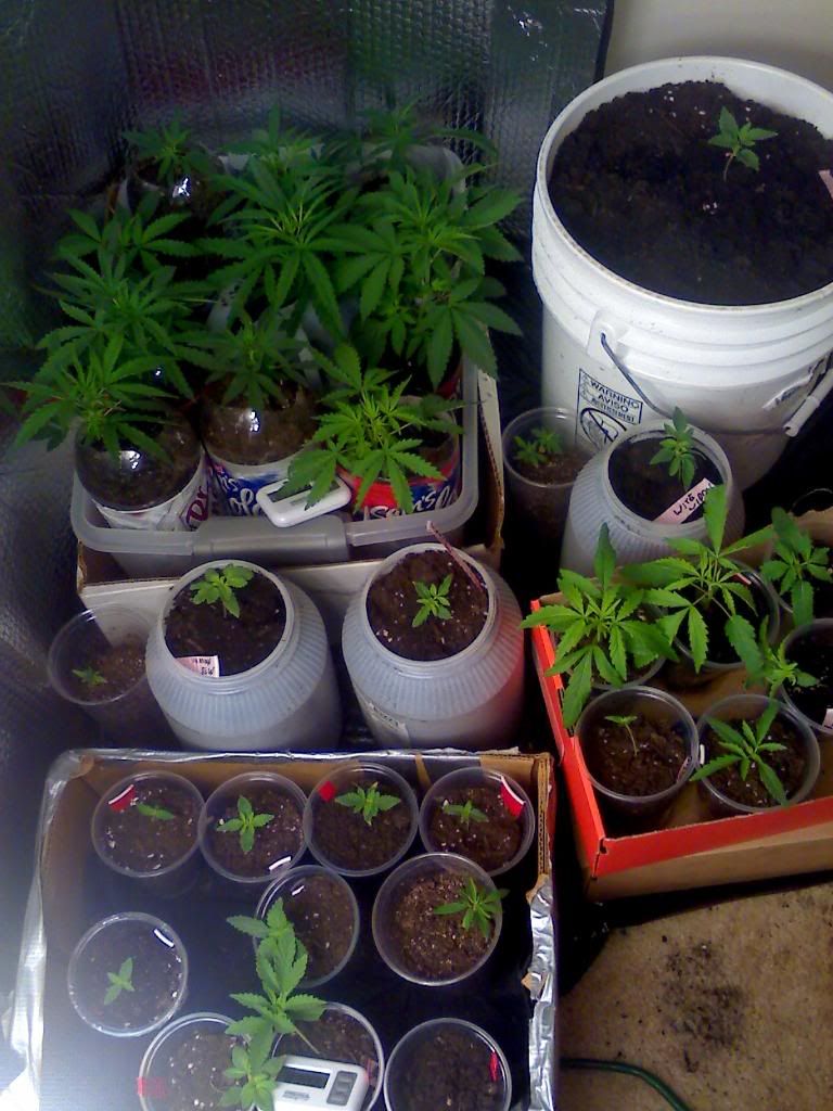 05-07-09_0214.jpg