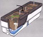 homegardendiagram.jpg