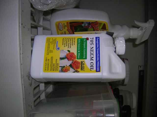 DSCN1045.jpg