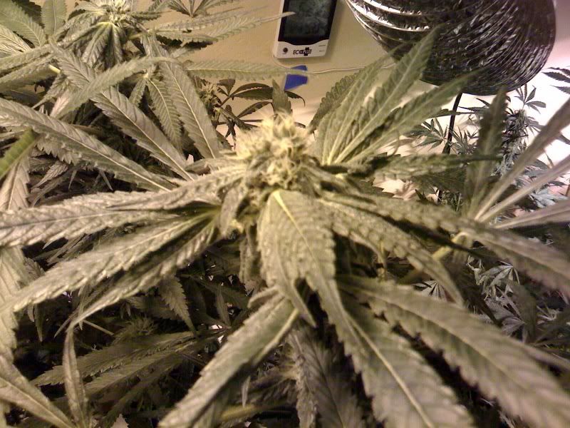 photo-4.jpg