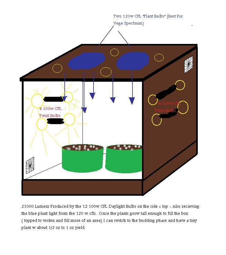 tinygrowroom.jpg