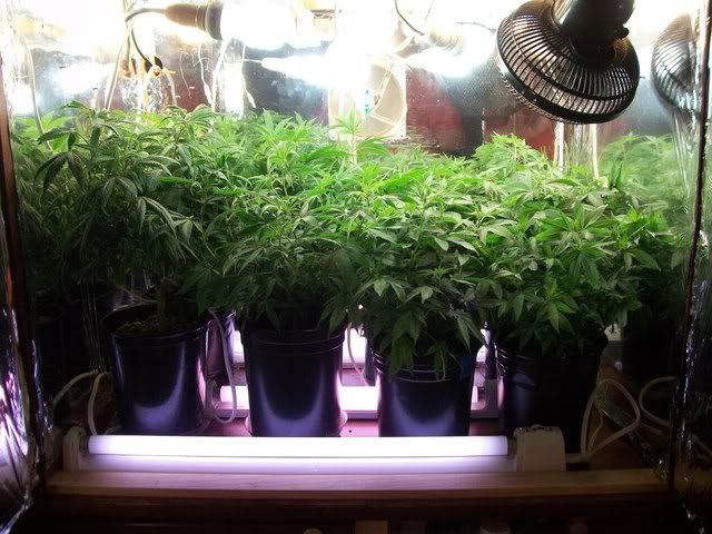 4-23-11002.jpg