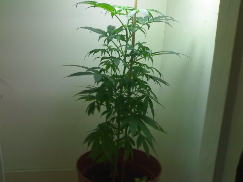09102007185.jpg